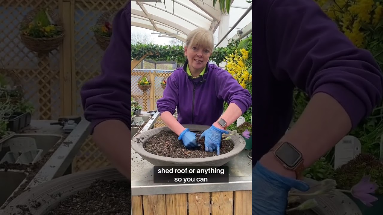 The Potting Bench - Best Tips for Planting an Alpine Container!