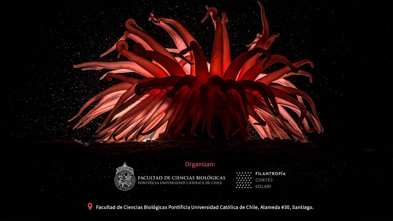 Seminario “Chile, voces de la Patagonia. Secretos del fondo marino”
