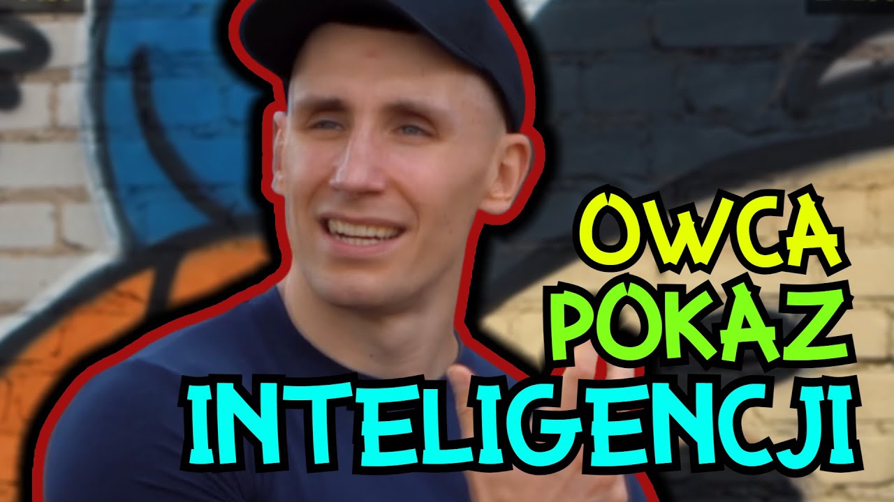 OWCA POKAZ INTELIGENCJI