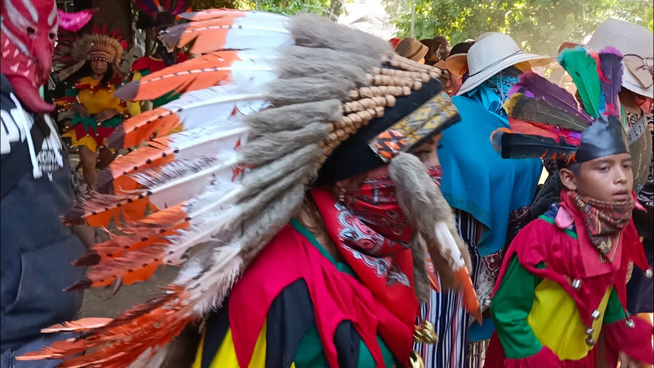 CARNAVAL MOLANGO VERACRUZ PARTE 1