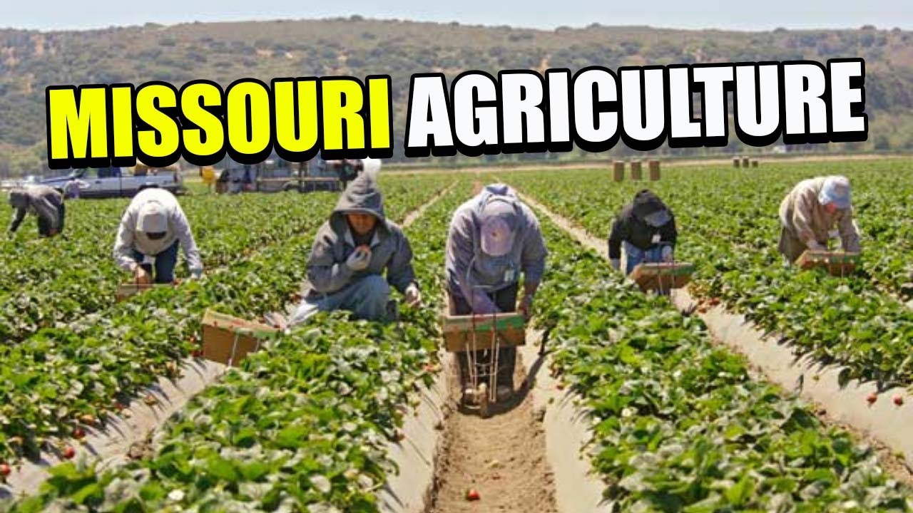 How Missouri Farmers Use 27.5 Million Acres Of Farmland And 93,000 Farms
