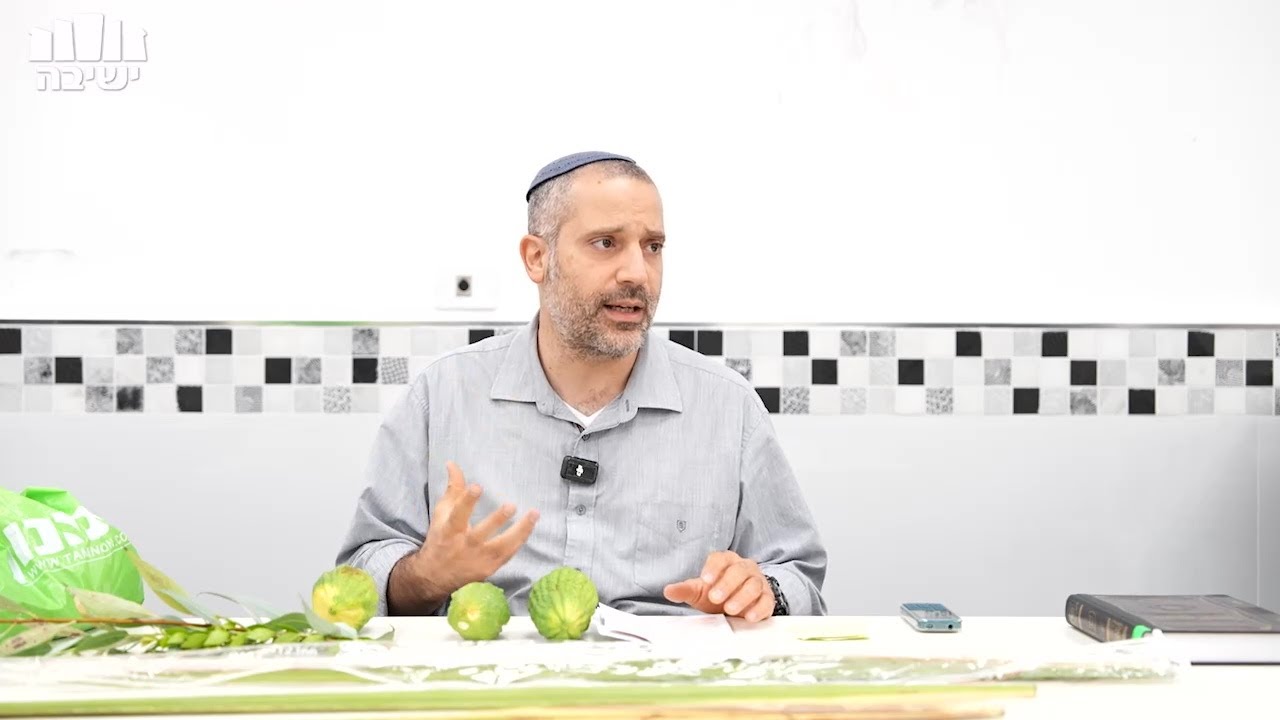 דיני ארבעת המינים הלכה למעשה - מחולק לפרקים [הגדרות, אתרוג, לולב, הדס, ערבה, אגידת לולב]