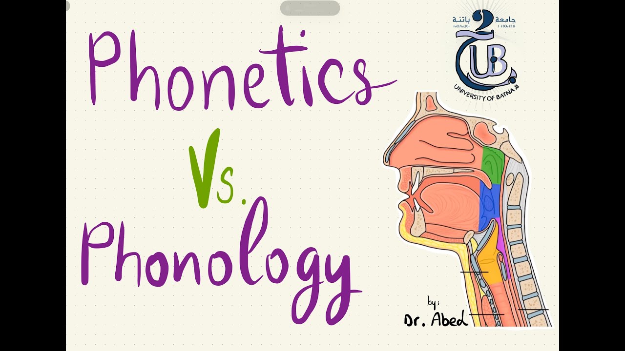 Phonetics Vs Phonology ~ First year BA Phonetics Course