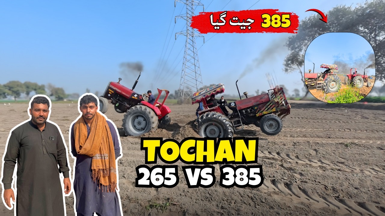Massey 265 Special vs 385 Powerfull Tochan 😱 | Ateeq Jutt Vlogs