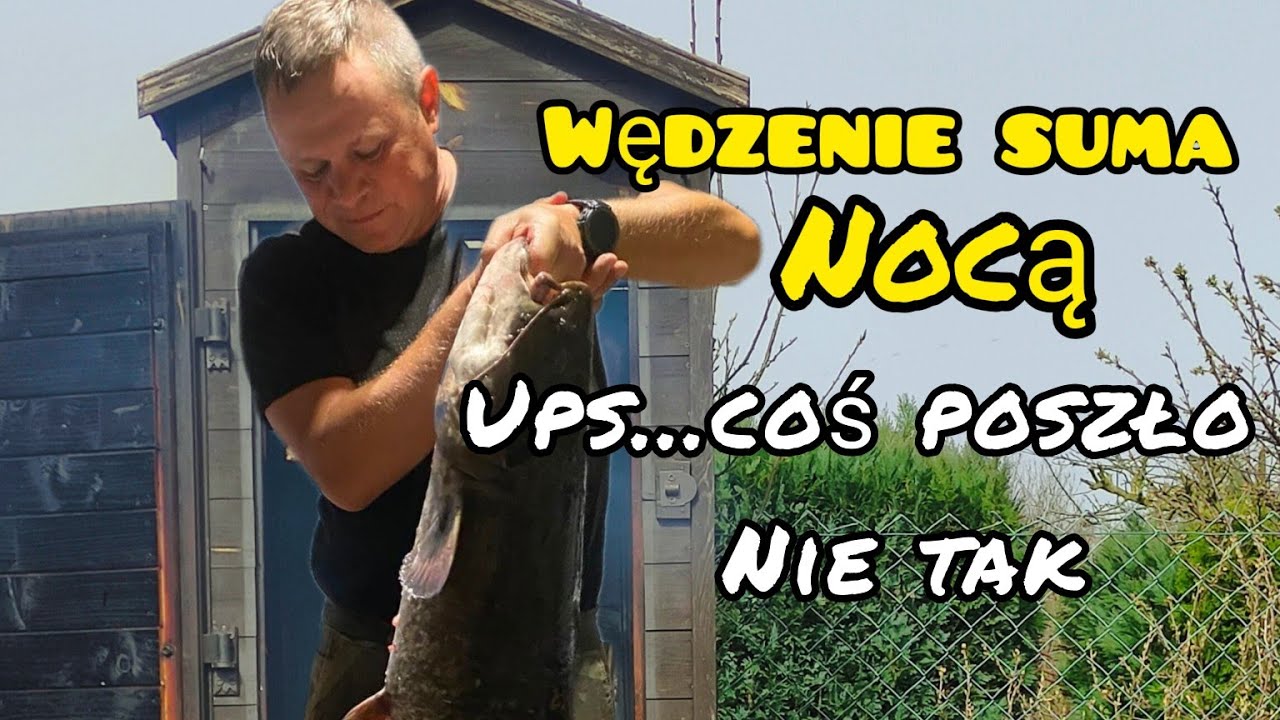 Wędzenie suma chyba coś poszło nie tak jak chciałem