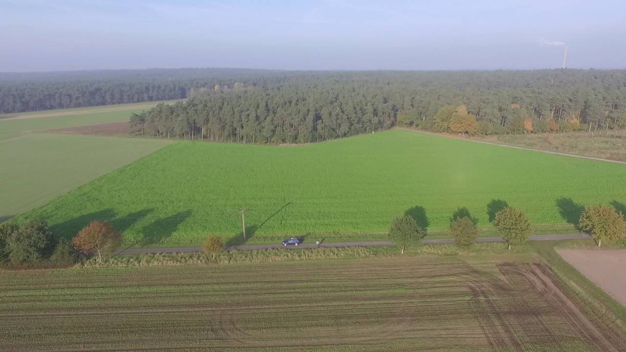 Steyerberg Waldgebiet Drohnenflug