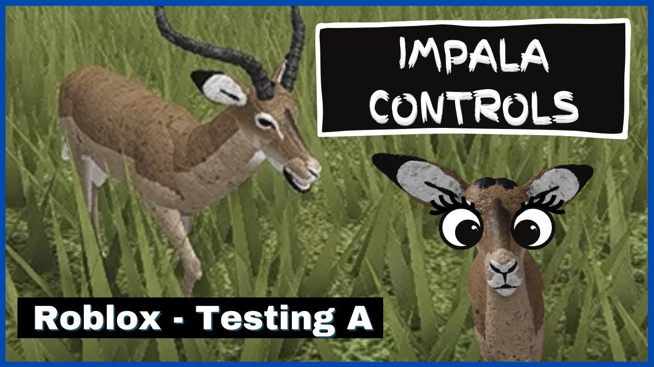 Roblox - Testing A - Impala controls