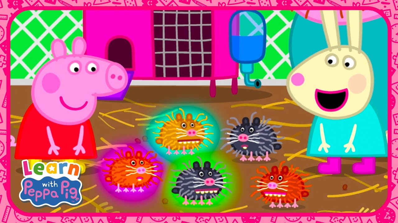 Learning More And Less With Peppa Pig 🔢 Educational Videos for Kids 📚 Learn With Peppa Pig