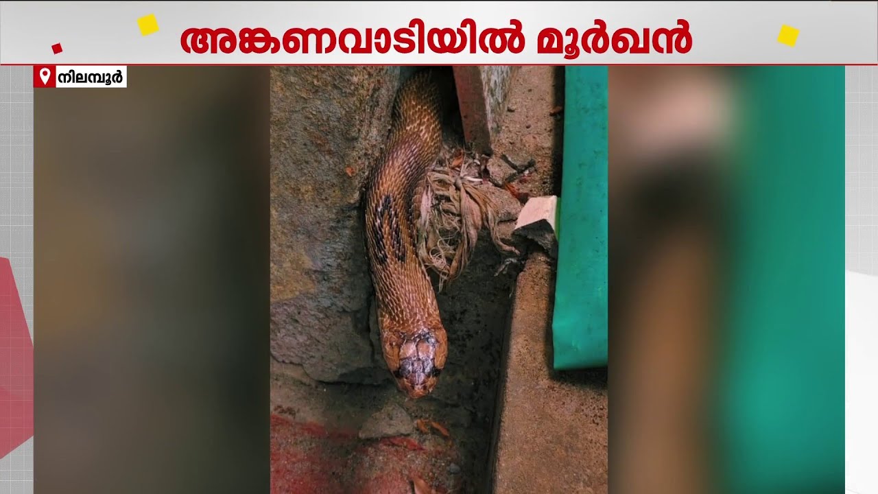 അങ്കണവാടിയിൽ കുട്ടികൾക്ക് കൂട്ടായി മൂർഖൻ പാമ്പ്!! എമർജൻസി റെസ്ക്യൂ ഫോഴ്സ് ടീം എത്തി പിടികൂടി