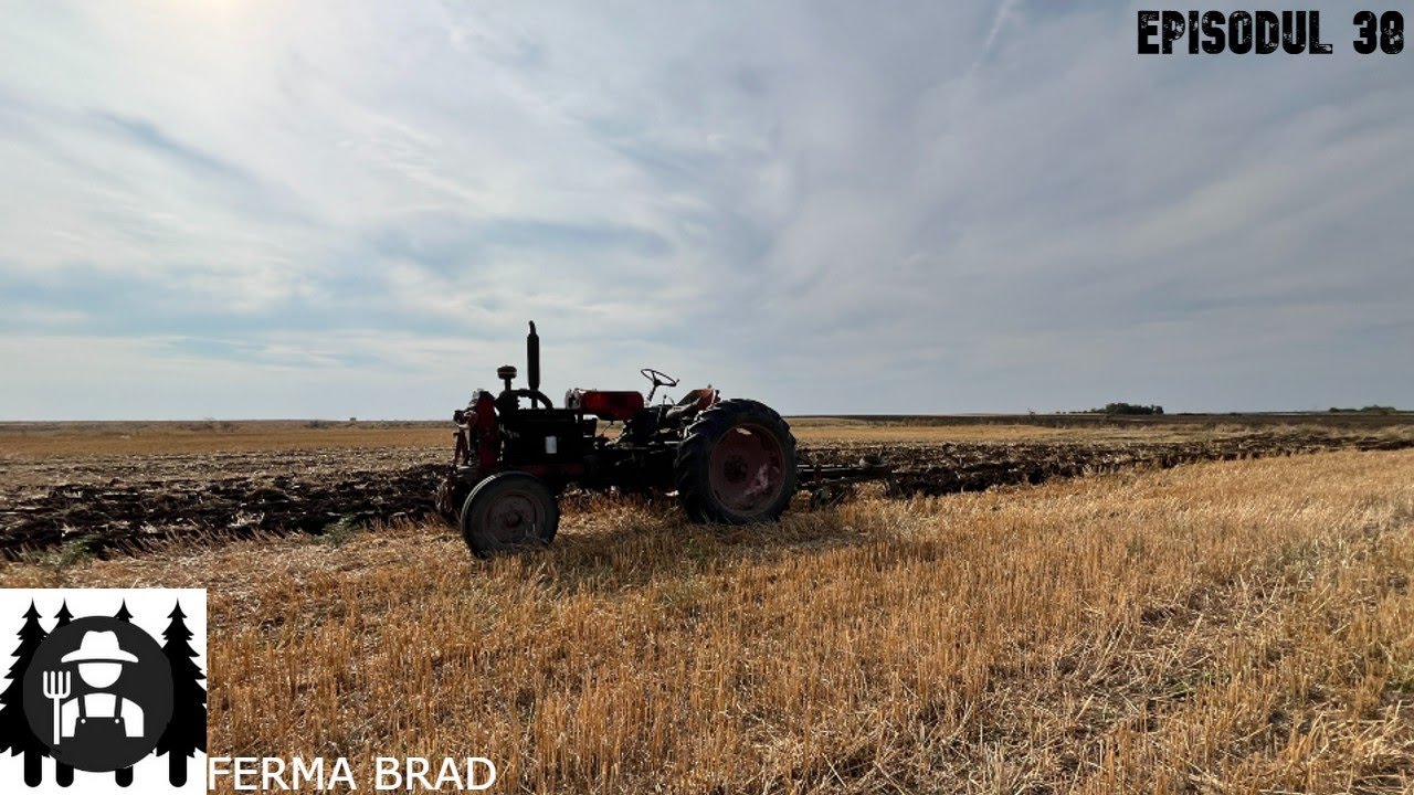 La arat cu (UTB650M siPP3)