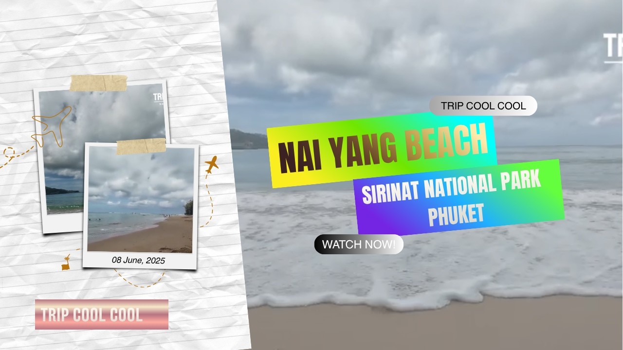 หาดในยาง อุทยานแห่งชาติสิรินาถ ภูเก็ต Nai Yang Beach Sirinat National Park Phuket | TRIP cool cool