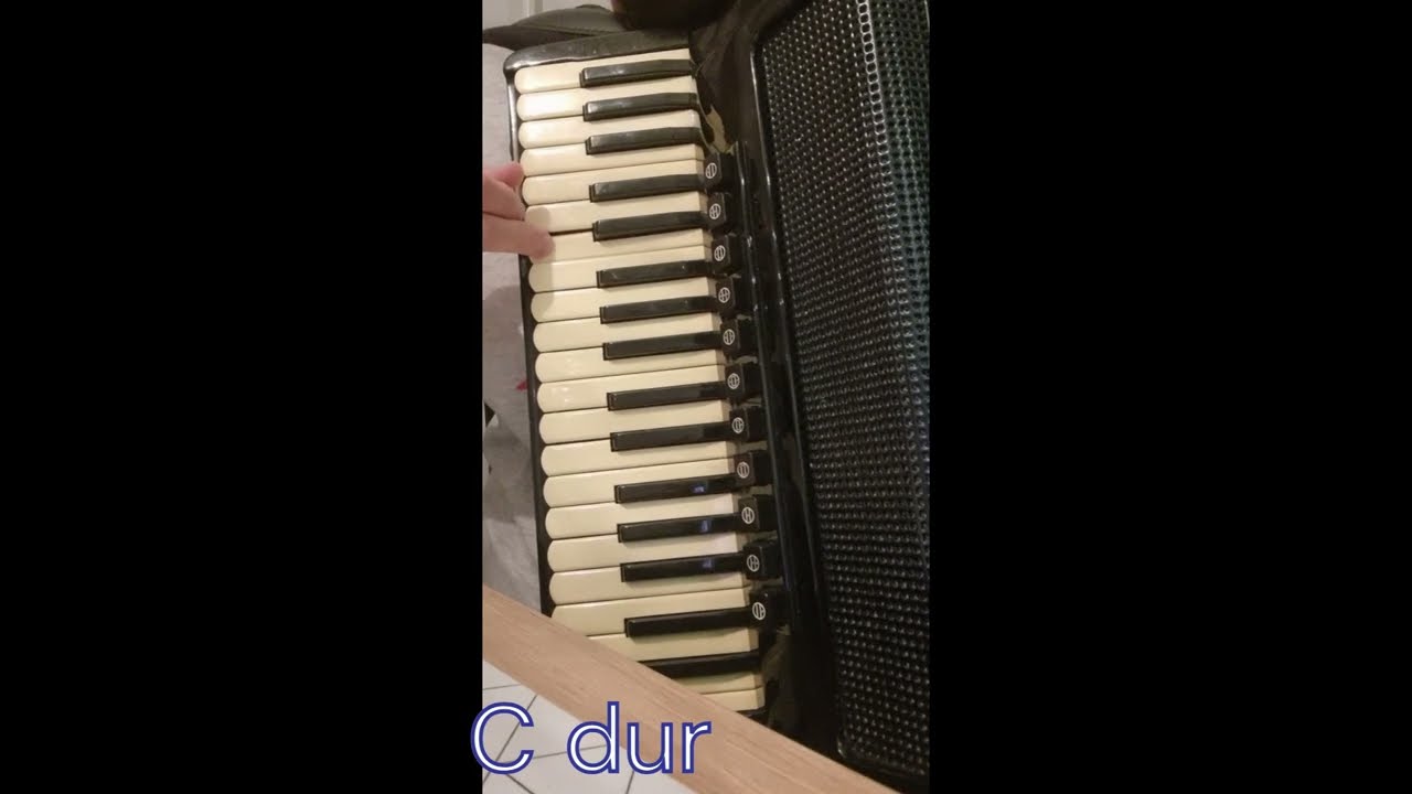 Laku noc sviraci - Ž. Bebek harmonika tutorial