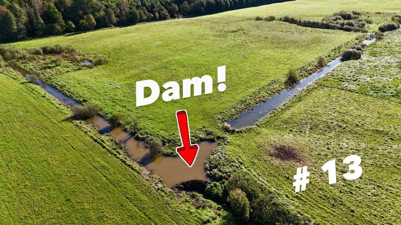 Epic Dam Removal! TOP 13 of 2025!