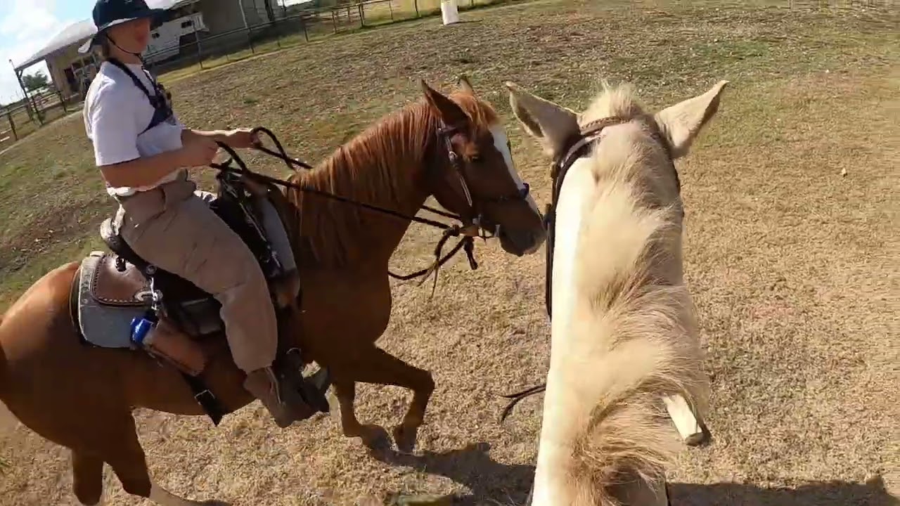 Odin records his ride in the corral 