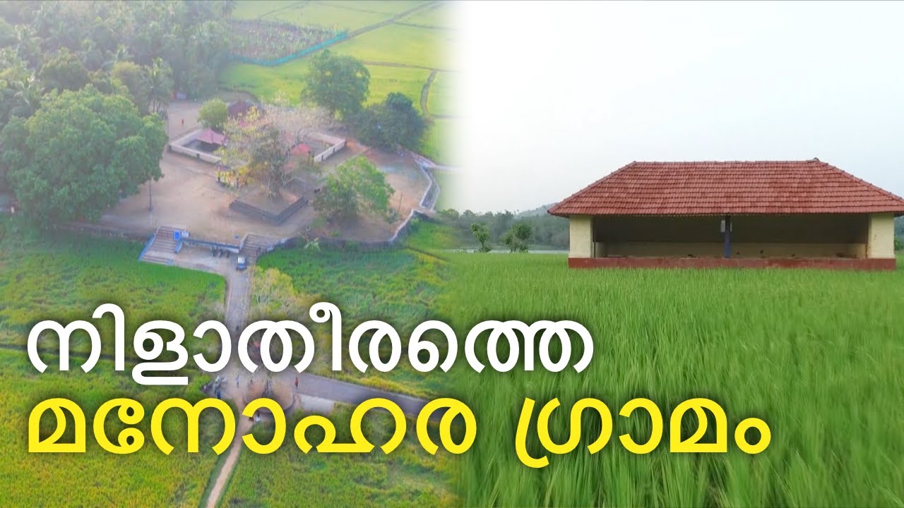 നെൽവയലോരത്തെ ക്ഷേത്രം, നിളാതീരത്തെ മനോഹര ഗ്രാമം: 'വാഴാലിക്കാവ്' വിശേഷങ്ങൾ