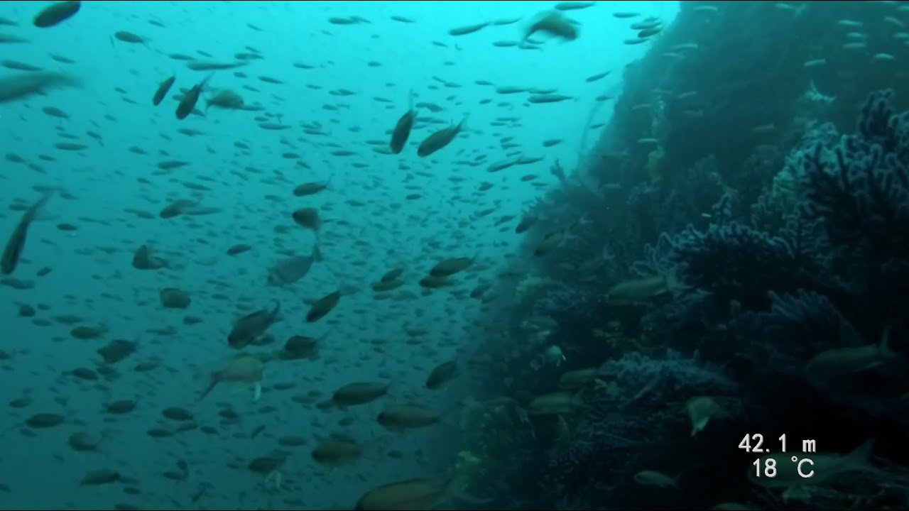 Donator Wreck, France, CCR APDiving