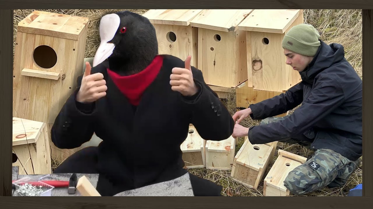 Nistkasten aufhänge Aktion