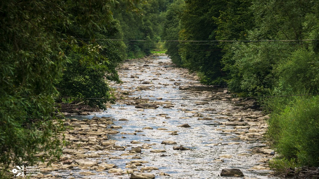 Potok przy żydowskim cmentarzu w Runinie (SK)