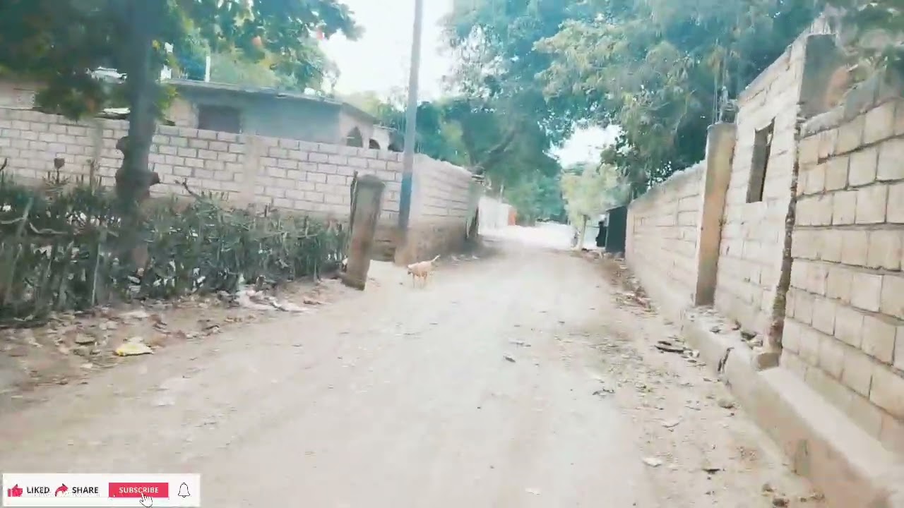 MEN KIJAN MWEN TE VIZITE YON ZÒN KI RELE PON FLIP NAN MAPOU CHEVALYE NAN VIL GONAYIV 