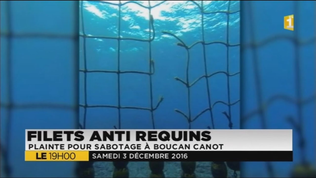 Filets antirequins : plainte pour sabotage à Boucan Canot - 3/12/2016