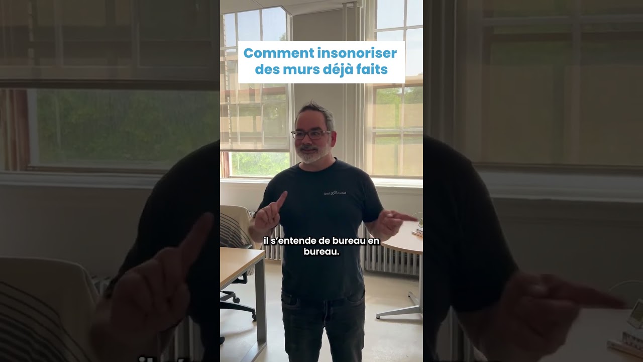 Comment on fait pour insonoriser des murs d&eacute;j&agrave; faits ?