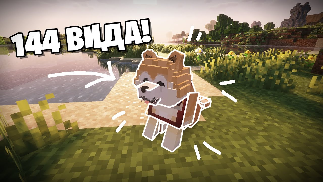 Doggy Talents Next &mdash; Таланты для Собак &mdash; Обзор мода
