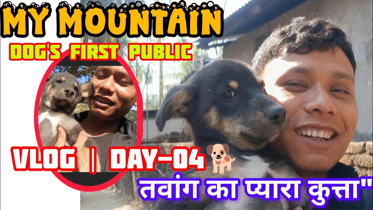 My Mountain 🏔️ 🥰 // Dog's 🐕 CUTE PUPPY First Vlog |😲😂//  तवांग का प्यारा कुत्ता