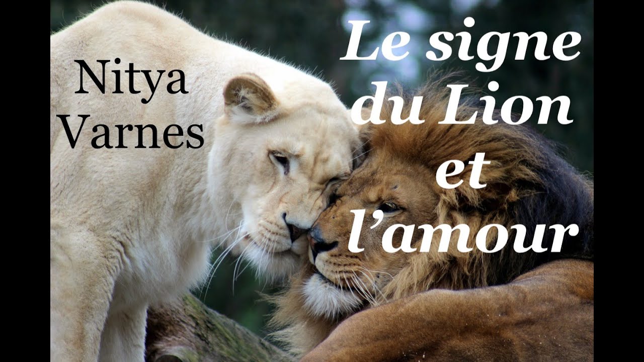 Le Lion et l'amour