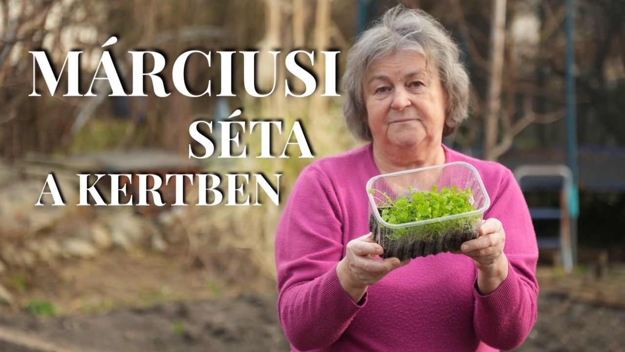 Jutka Mama kertje MÁRCIUSBAN
