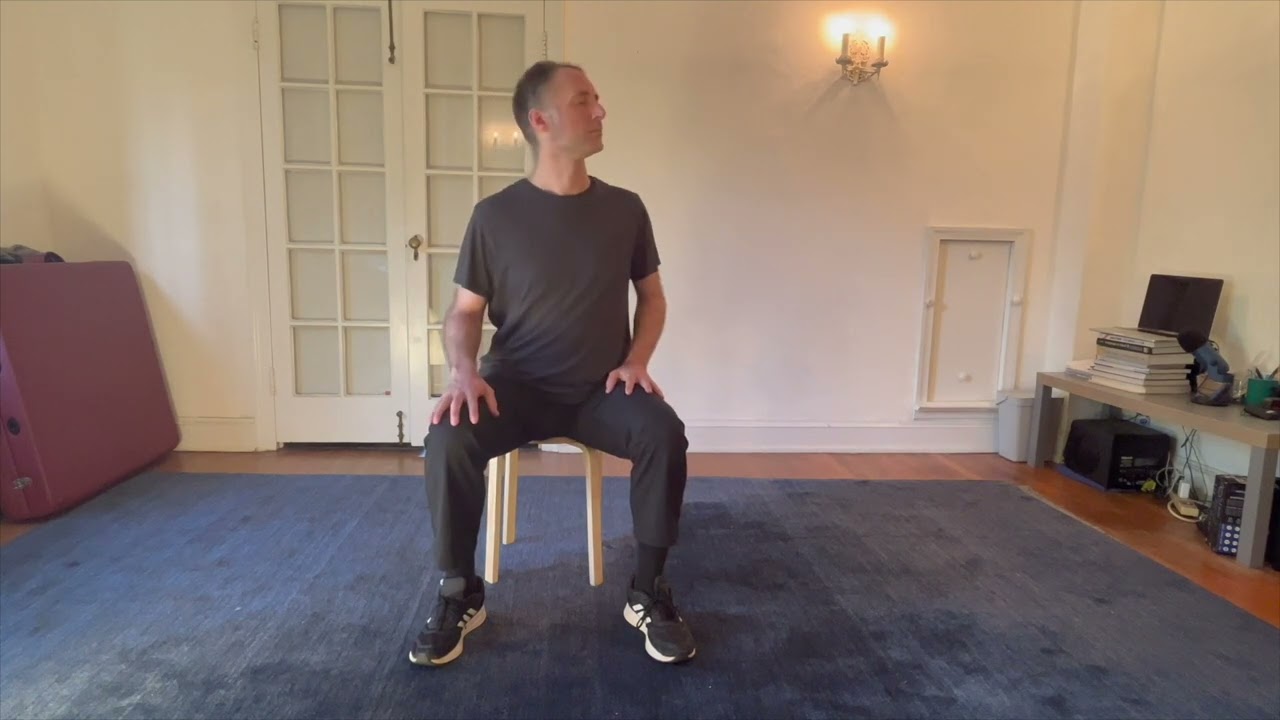 Feldenkrais Lesson - Orienting with Eyes & Ears - With Seth Dellinger - Sitting