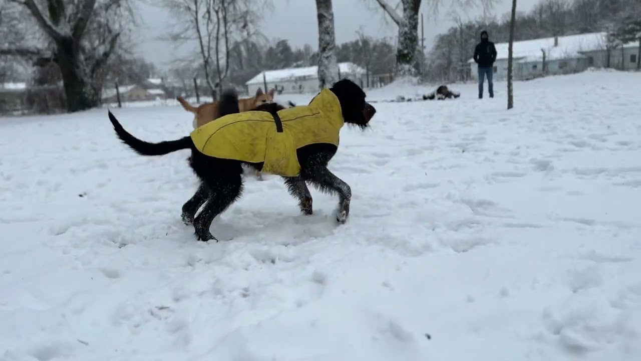 First snow of 2024