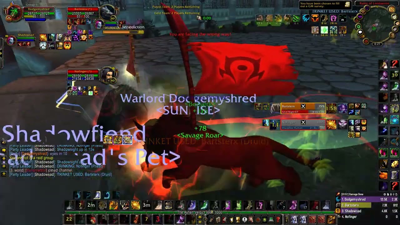 Feral/Shadow Priest VS Feral/Disc - 2700+ MMR WOTLK Classic Arena