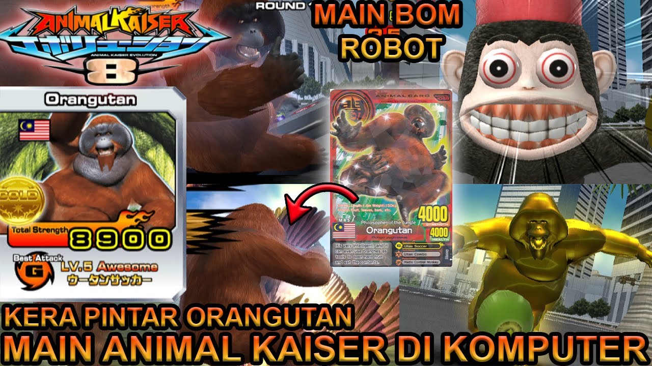 NYOBAIN ORANGUTAN ASLI KALIMANTAN ANIMAL KAISER DI KOMPUTER !!! - ANIMAL KAISER EVOLUTION PC
