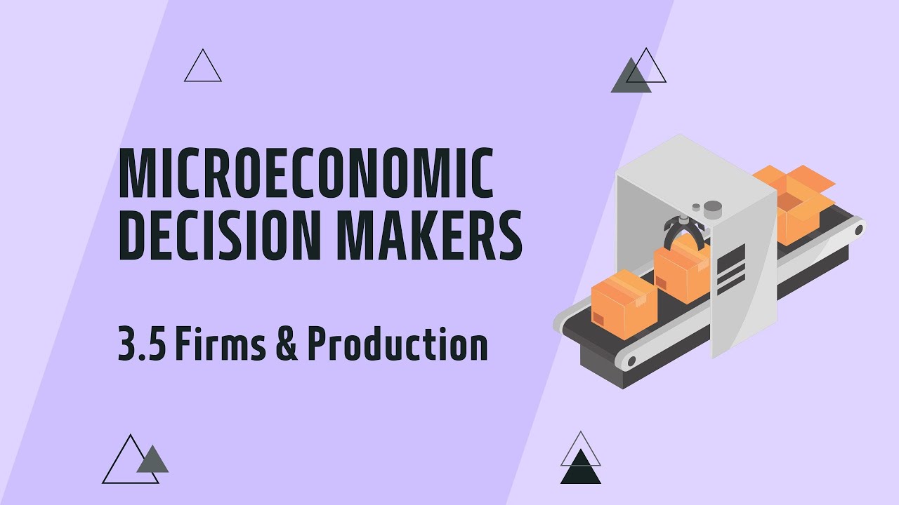 IGCSE Economics: Chapter 3.5 Firms and production (Updated for 2027 syllabus)