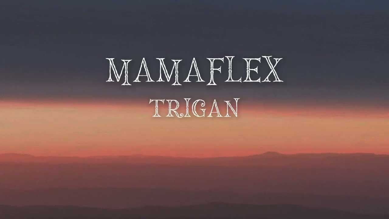 Mamaflex - Trigan feat. pickpocket (lyrics/ტექსტი)
