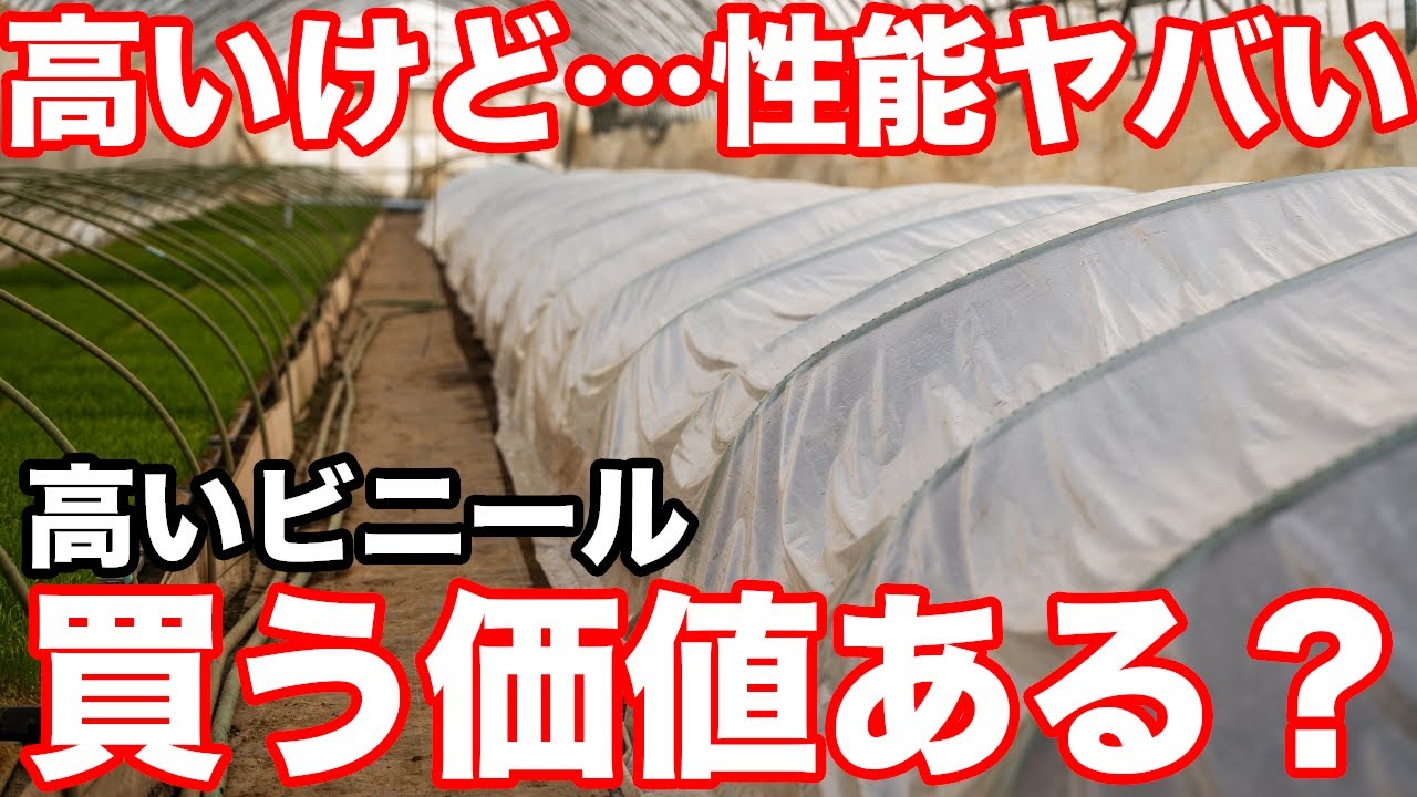 【徹底比較】高級ビニールは本当に元が取れる？「ヌクマールさらりZ」の実力を育苗のプロが検証