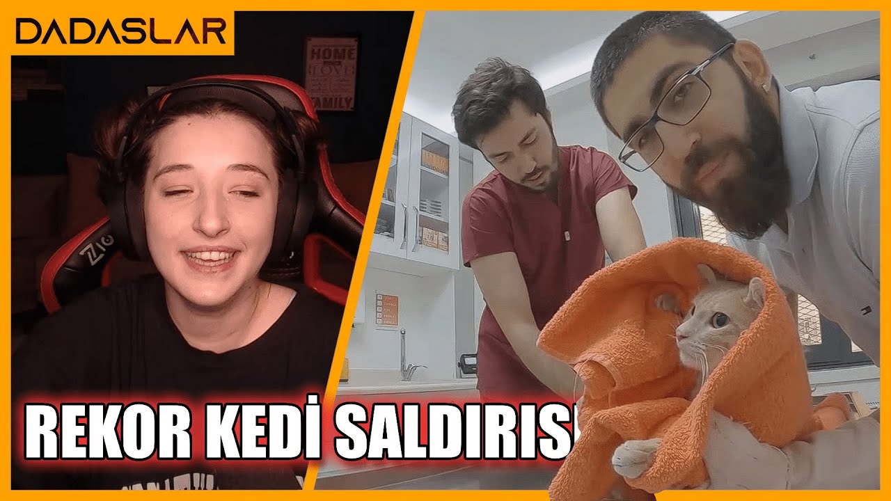 Pqueen - Hırçın Kediyi İzliyor (Rekor Kedi Saldırısı 