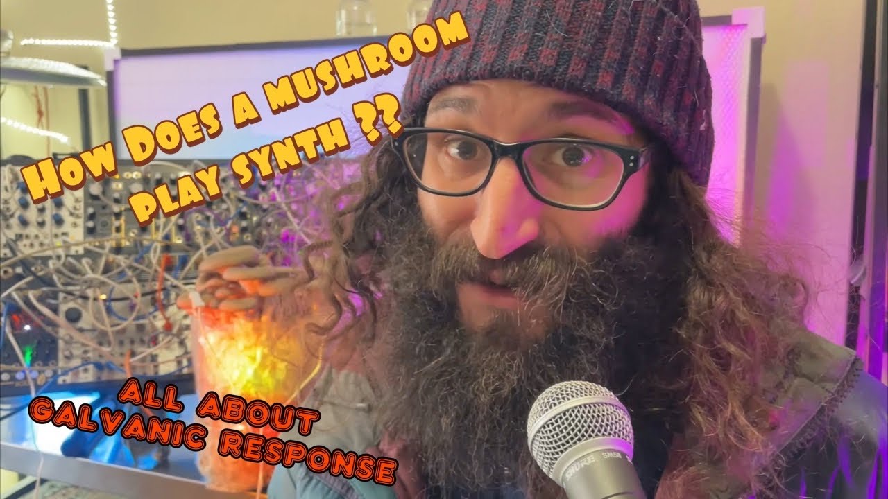 How The F Do Mushrooms Play Modular Synthesizer: Galvanic Response Edition