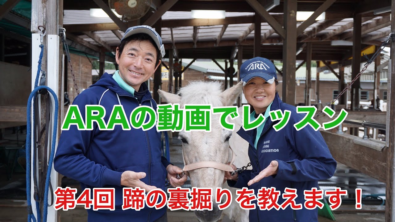 【動画で乗馬レッスン】第4回 蹄の裏掘りを教えます！｜神戸市明石市乗馬クラブ明石乗馬協会