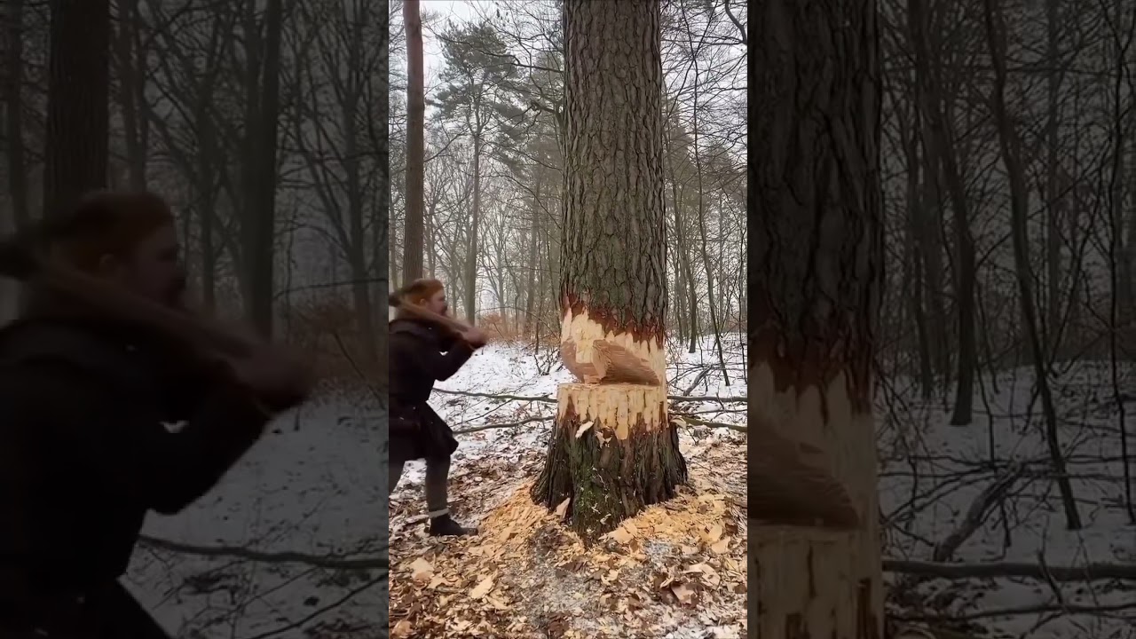 The expert man cutting of tree || #cuttingskills #expert #woodworking #shorts