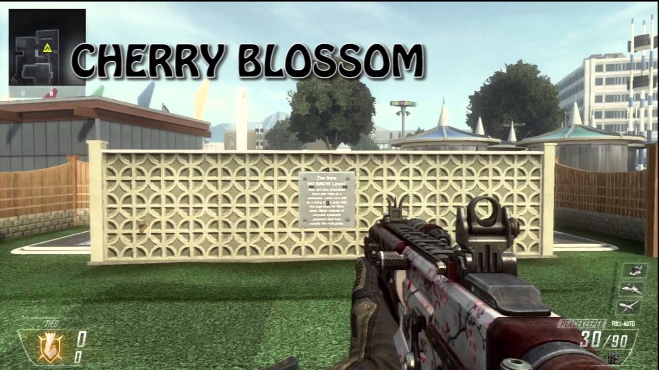 Black Ops 2 - Peacekeeper All Camos + DIAMOND CAMO (Call of duty Black Ops 2 Revolution DLC)