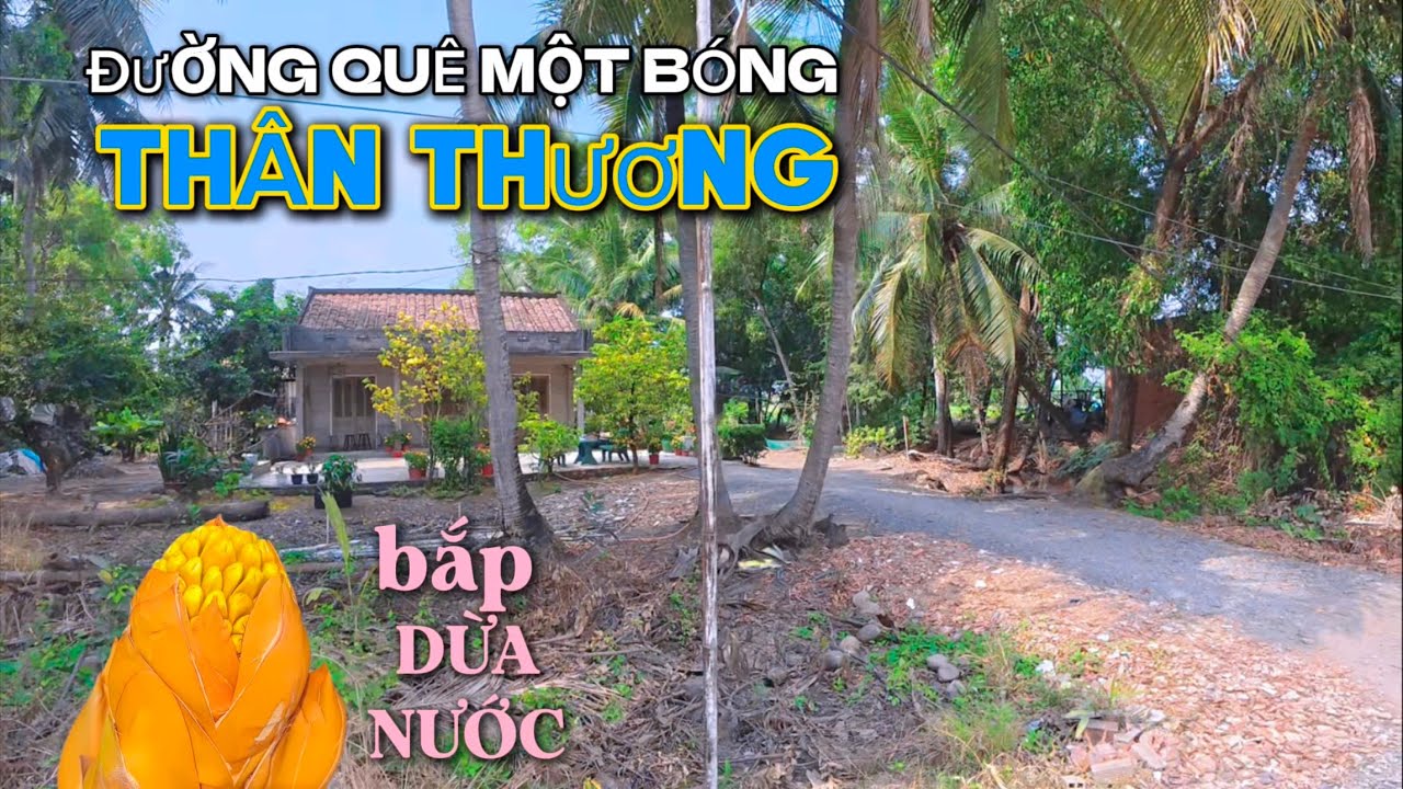 Vào Khu Rẫy Long Khê | Gặp Cô Hái Rau Rền Cơm Mê Quá Trời .