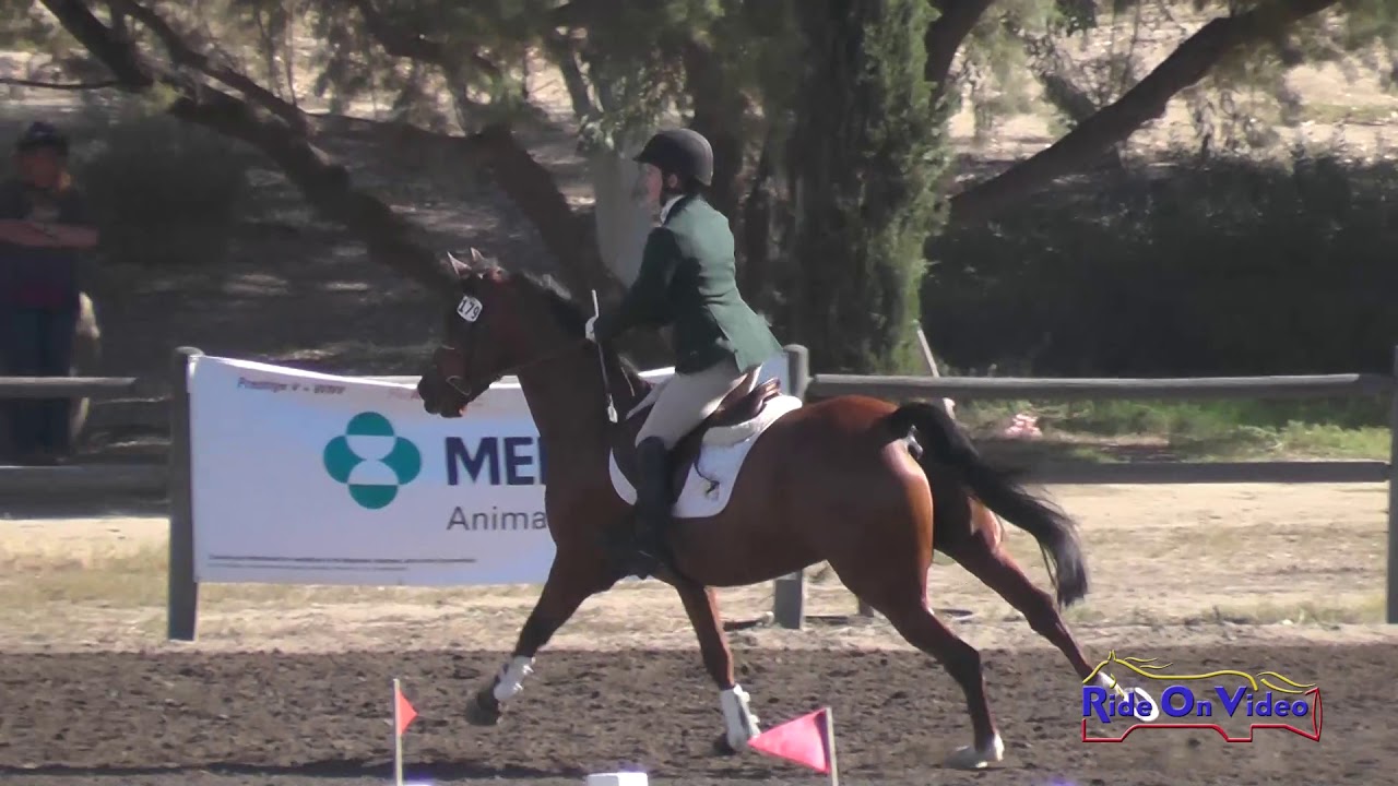 179S Whitney Tompkins on DVF Caliente Creek JR/YR Preliminary Show Jumping Galway Downs Nov. 2015