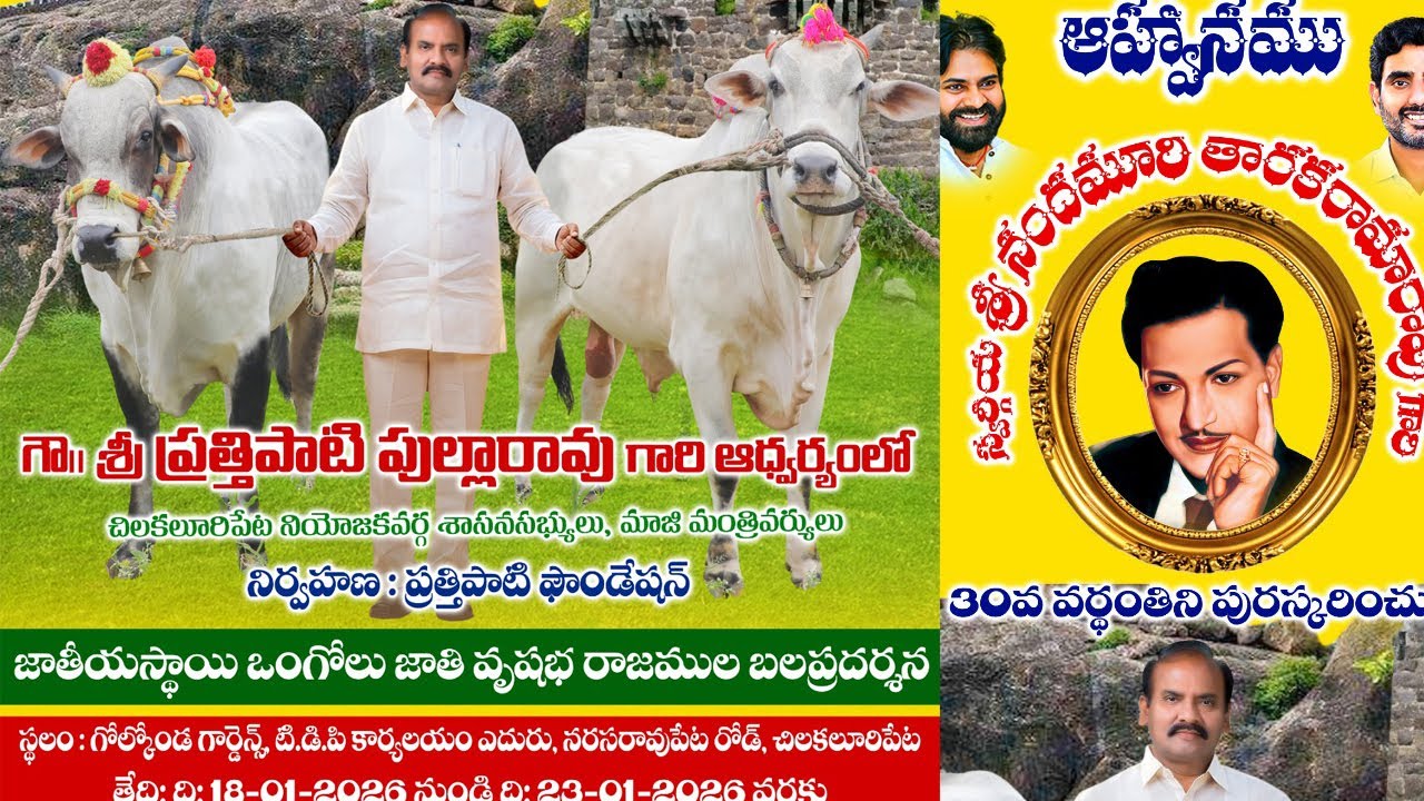#live జాతీయస్థాయి ఒంగోలు జాతి ఎడ్ల బల ప్రదర్శన లు  శ్రీ ప్రత్తిపాటి పుల్లారావు గారి ఆధ్వర్యంలో Day-4