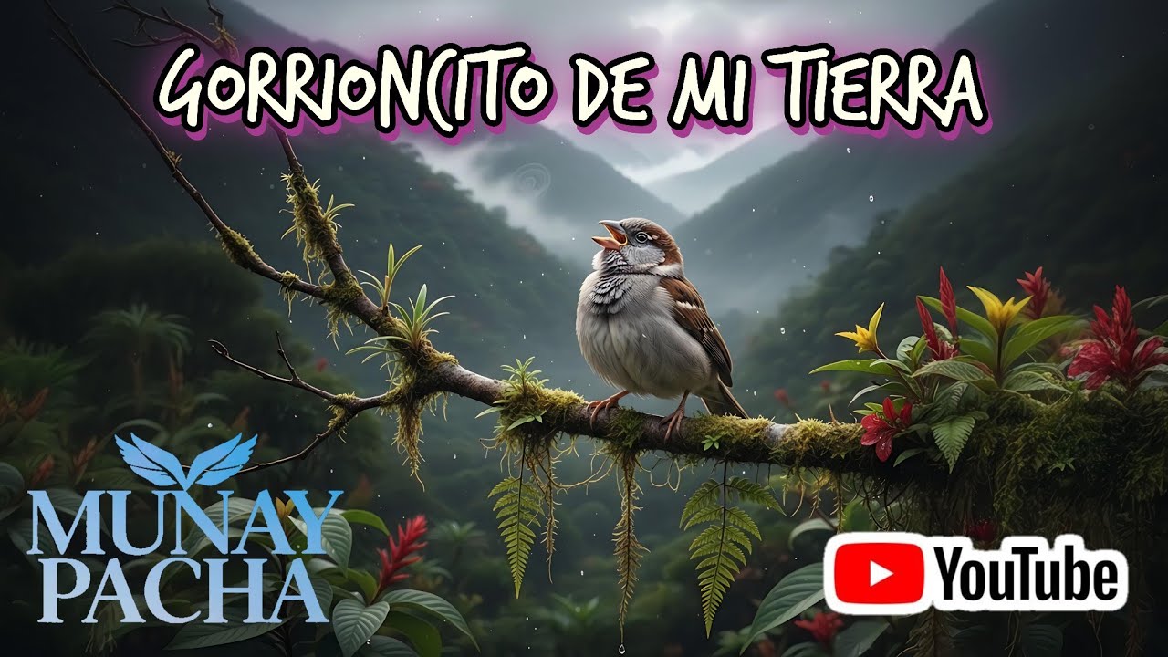 🇵🇪MUNAY PACHA :GORRIONCITO DE MI TIERRA :Canto de Libertad (Sanjuanito Andino) Andean Music🔥🎼