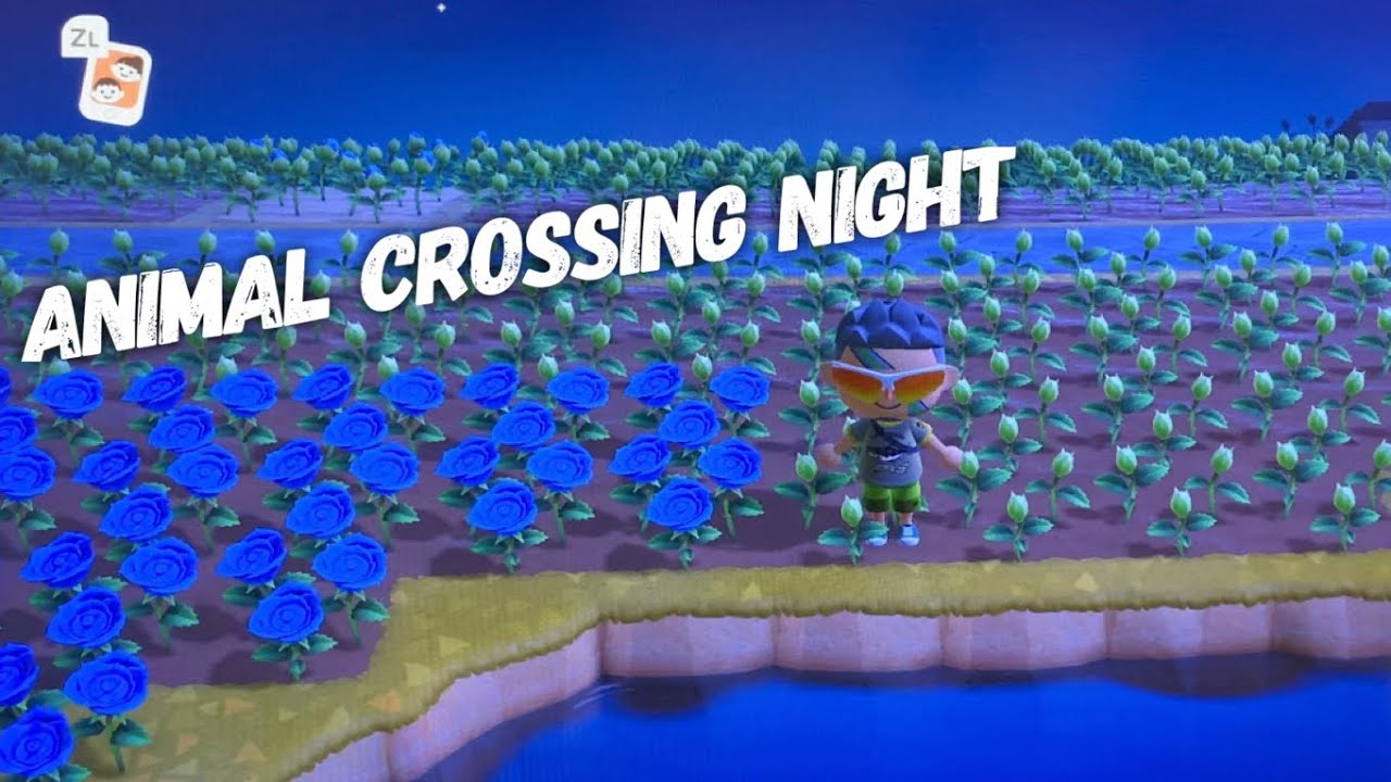 Animal Crossing - Game Night