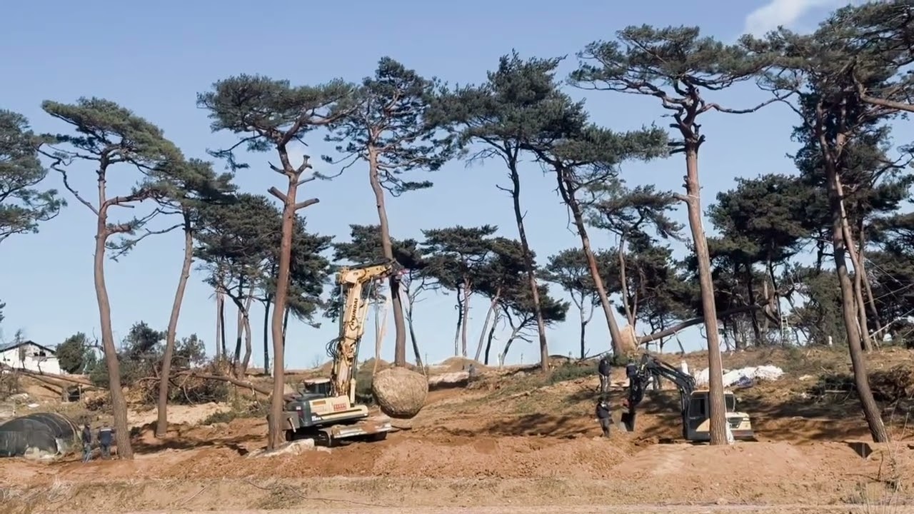 소나무작업 회전링크 