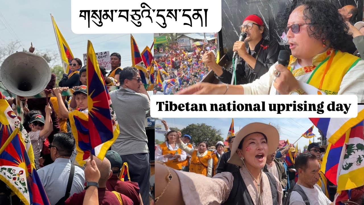 Powerful energy from Dharamsala public on 67th uprising day 🙏#tibetanvlogger 