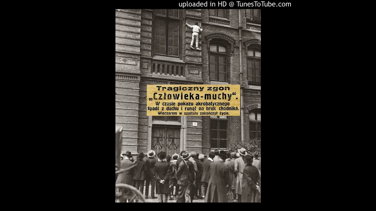 Włada Majewska - Akrobata Mucha