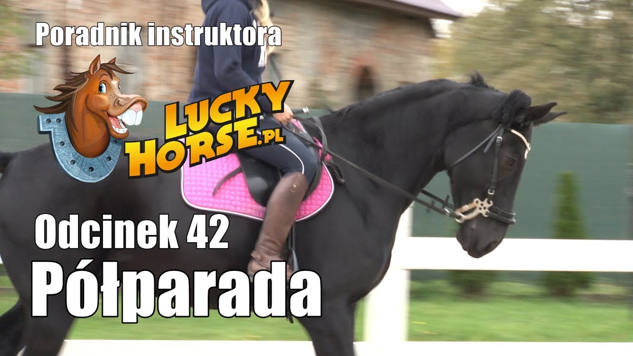 Porady LuckyHorse pl - Odc42 - Półparada